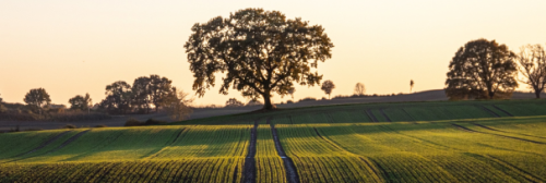 agronomie